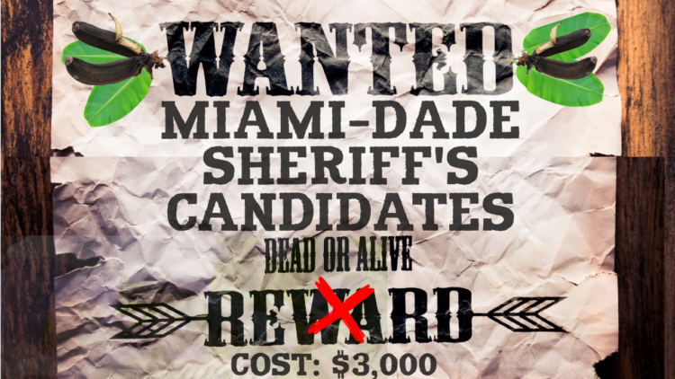 Only in dade, miami police, nick off duty, criminals host miami dade sheriff forum