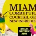 Miami corruption, sabina covo, covo, under investigation, miami commissioner, commissioner, miami