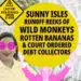 Patricia alvarez sunny isles